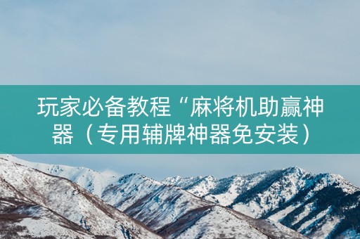 玩家必备教程“麻将机助赢神器（专用辅牌神器免安装）