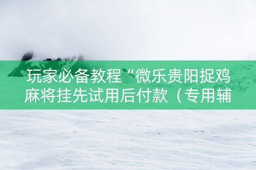 玩家必备教程“微乐贵阳捉鸡麻将挂先试用后付款（专用辅牌神器免安装）
