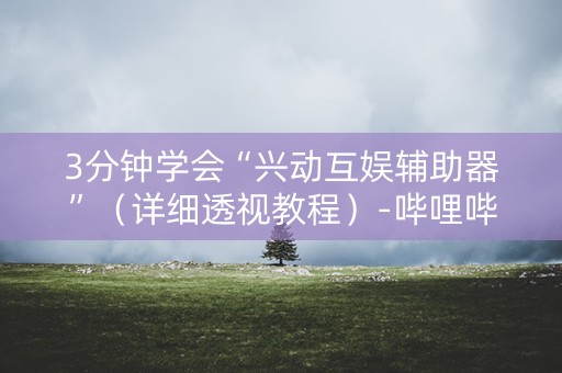 3分钟学会“兴动互娱辅助器”（详细透视教程）-哔哩哔哩