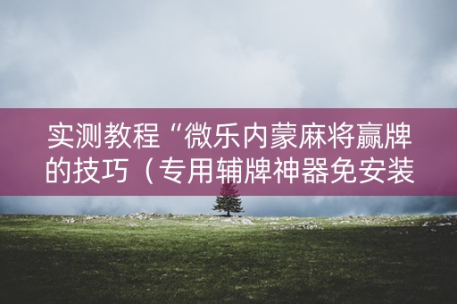 实测教程“微乐内蒙麻将赢牌的技巧（专用辅牌神器免安装）