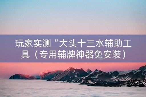 玩家实测“大头十三水辅助工具（专用辅牌神器免安装）