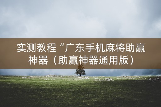 实测教程“广东手机麻将助赢神器（助赢神器通用版）