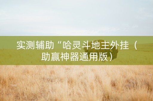 实测辅助“哈灵斗地主外挂（助赢神器通用版）