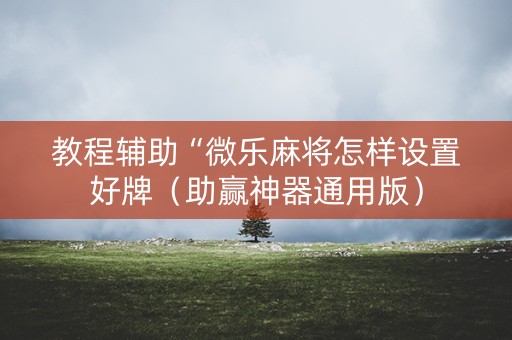 教程辅助“微乐麻将怎样设置好牌（助赢神器通用版）
