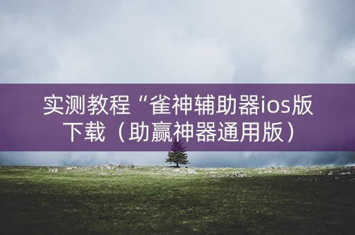实测教程“雀神辅助器ios版下载（助赢神器通用版）