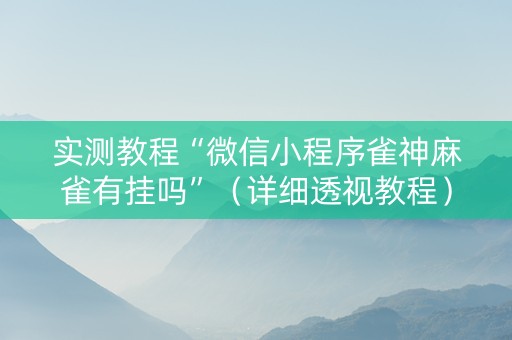 实测教程“微信小程序雀神麻雀有挂吗”（详细透视教程）-哔哩哔哩