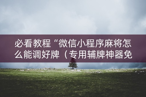 必看教程“微信小程序麻将怎么能调好牌（专用辅牌神器免安装）