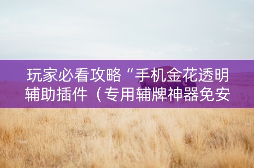 玩家必看攻略“手机金花透明辅助插件（专用辅牌神器免安装）