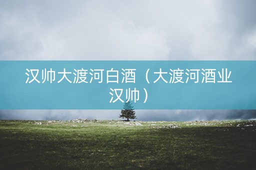 汉帅大渡河白酒（大渡河酒业汉帅）