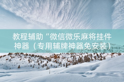 教程辅助“微信微乐麻将挂件神器（专用辅牌神器免安装）