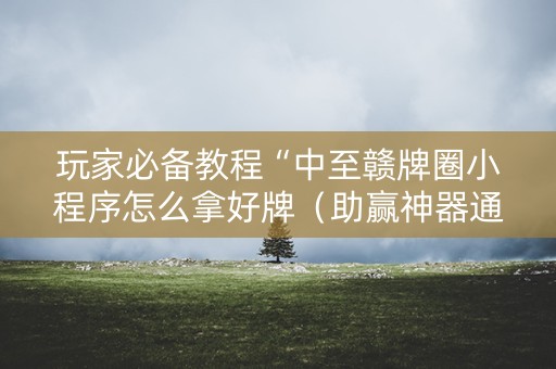 玩家必备教程“中至赣牌圈小程序怎么拿好牌（助赢神器通用版）