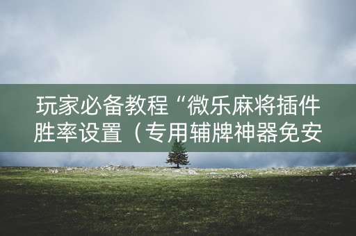 玩家必备教程“微乐麻将插件胜率设置（专用辅牌神器免安装）
