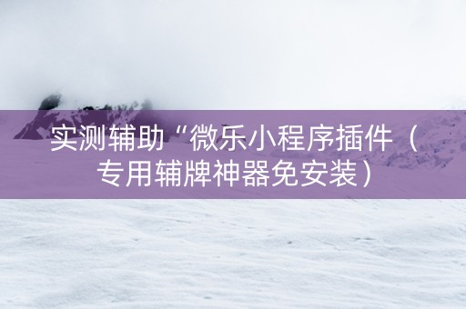 实测辅助“微乐小程序插件（专用辅牌神器免安装）