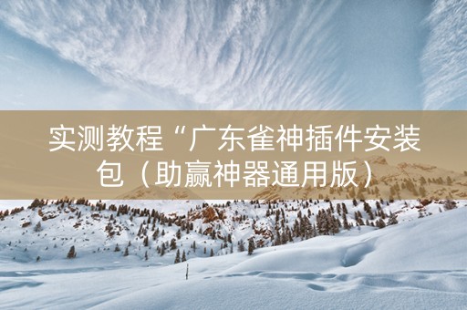 实测教程“广东雀神插件安装包（助赢神器通用版）