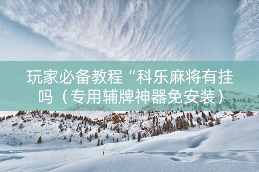 玩家必备教程“科乐麻将有挂吗（专用辅牌神器免安装）