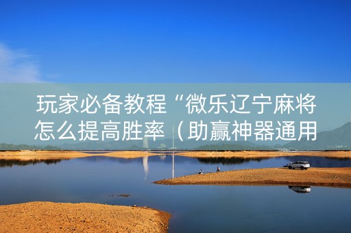 玩家必备教程“微乐辽宁麻将怎么提高胜率（助赢神器通用版）