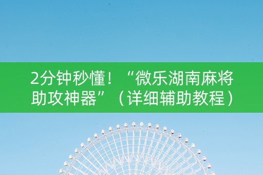 2分钟秒懂！“微乐湖南麻将助攻神器”（详细辅助教程）-哔哩哔哩