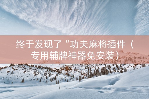 终于发现了“功夫麻将插件（专用辅牌神器免安装）