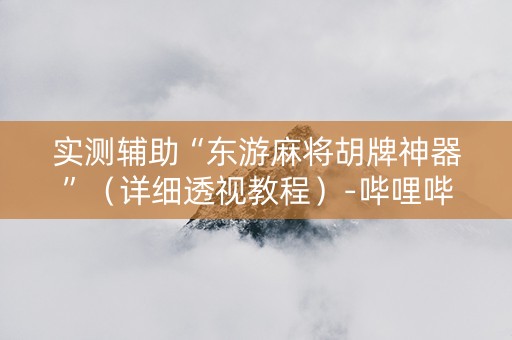 实测辅助“东游麻将胡牌神器”（详细透视教程）-哔哩哔哩