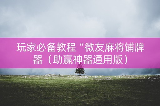玩家必备教程“微友麻将铺牌器（助赢神器通用版）