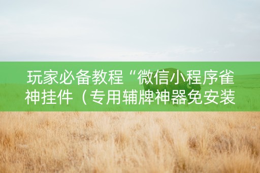 玩家必备教程“微信小程序雀神挂件（专用辅牌神器免安装）