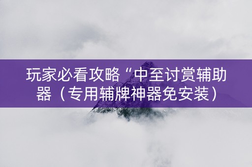 玩家必看攻略“中至讨赏辅助器（专用辅牌神器免安装）