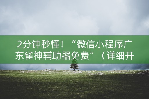 2分钟秒懂！“微信小程序广东雀神辅助器免费”（详细开挂教程）-哔哩哔哩