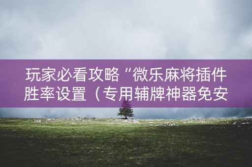 玩家必看攻略“微乐麻将插件胜率设置（专用辅牌神器免安装）