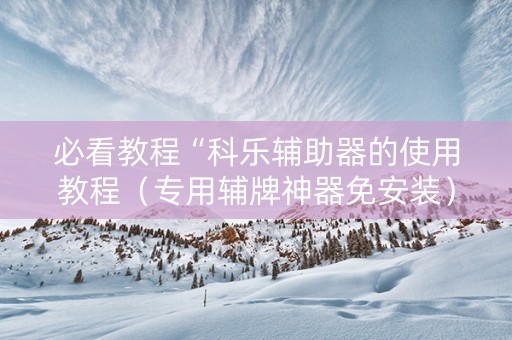 必看教程“科乐辅助器的使用教程（专用辅牌神器免安装）