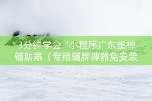 3分钟学会“小程序广东雀神辅助器（专用辅牌神器免安装）