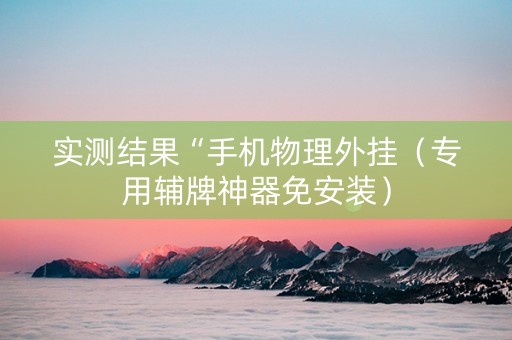 实测结果“手机物理外挂（专用辅牌神器免安装）