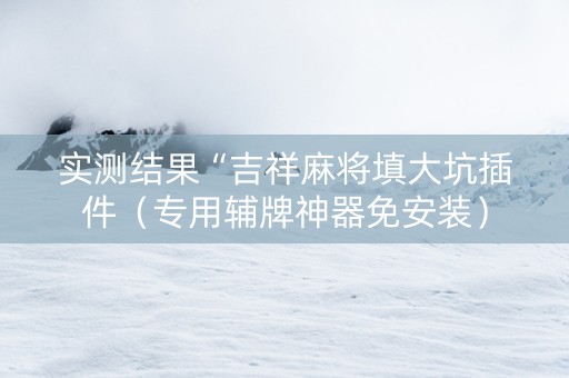 实测结果“吉祥麻将填大坑插件（专用辅牌神器免安装）