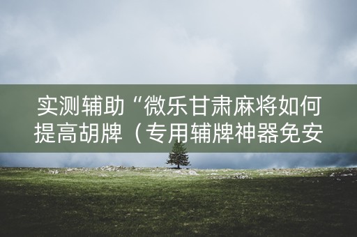 实测辅助“微乐甘肃麻将如何提高胡牌（专用辅牌神器免安装）