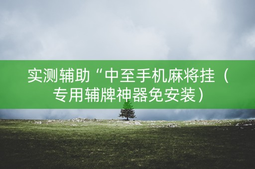 实测辅助“中至手机麻将挂（专用辅牌神器免安装）
