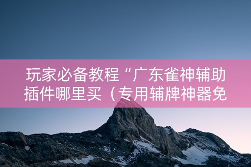 玩家必备教程“广东雀神辅助插件哪里买（专用辅牌神器免安装）