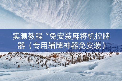 实测教程“免安装麻将机控牌器（专用辅牌神器免安装）