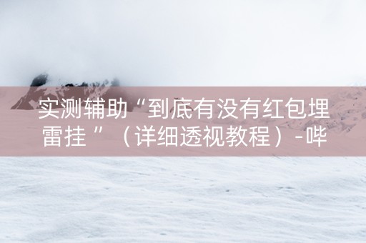 实测辅助“到底有没有红包埋雷挂 ”（详细透视教程）-哔哩哔哩