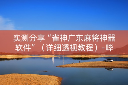 实测分享“雀神广东麻将神器软件”（详细透视教程）-哔哩哔哩