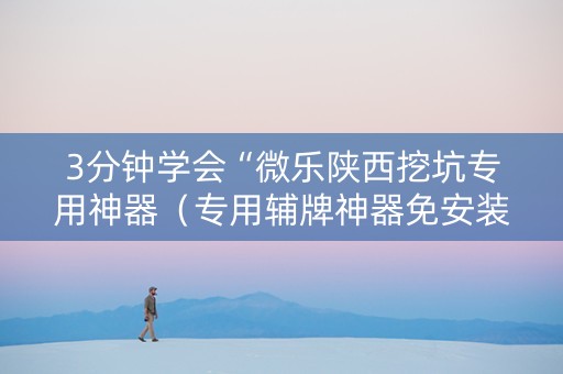 3分钟学会“微乐陕西挖坑专用神器（专用辅牌神器免安装）