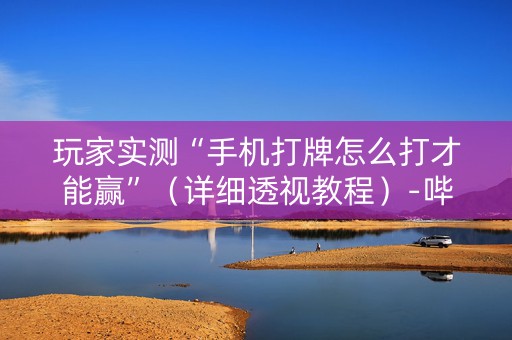 玩家实测“手机打牌怎么打才能赢”（详细透视教程）-哔哩哔哩
