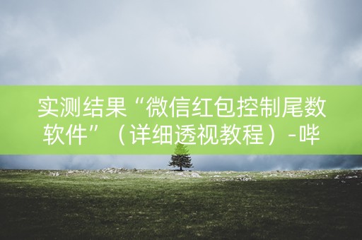实测结果“微信红包控制尾数软件”（详细透视教程）-哔哩哔哩