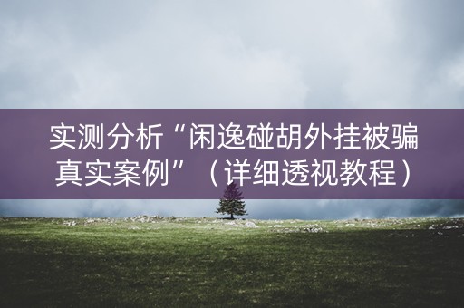 实测分析“闲逸碰胡外挂被骗真实案例”（详细透视教程）-哔哩哔哩