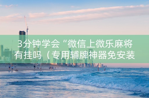3分钟学会“微信上微乐麻将有挂吗（专用辅牌神器免安装）