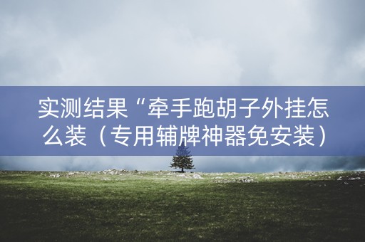 实测结果“牵手跑胡子外挂怎么装（专用辅牌神器免安装）