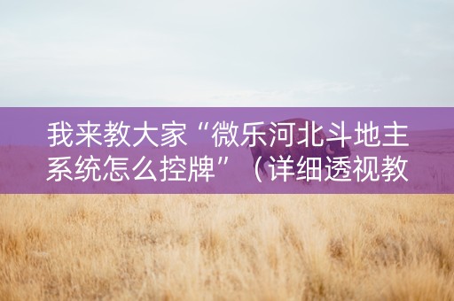 我来教大家“微乐河北斗地主系统怎么控牌”（详细透视教程）-哔哩哔哩