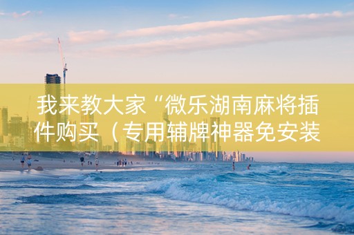 我来教大家“微乐湖南麻将插件购买（专用辅牌神器免安装）