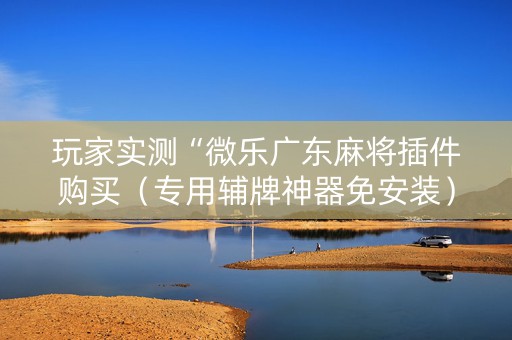 玩家实测“微乐广东麻将插件购买（专用辅牌神器免安装）