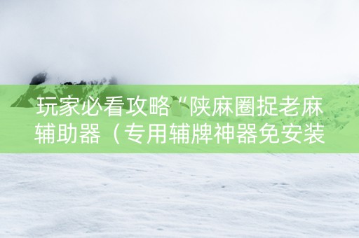 玩家必看攻略“陕麻圈捉老麻辅助器（专用辅牌神器免安装）