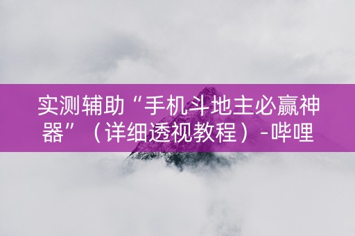 实测辅助“手机斗地主必赢神器”（详细透视教程）-哔哩哔哩