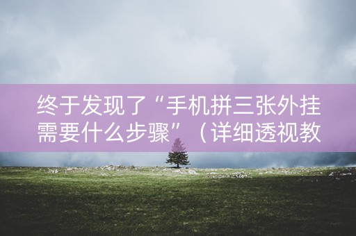 终于发现了“手机拼三张外挂需要什么步骤”（详细透视教程）-哔哩哔哩